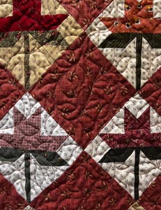 Hillcrest | Unity in Variety quilt