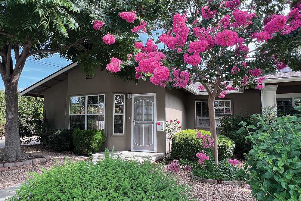 Our Cottages Our Cottages