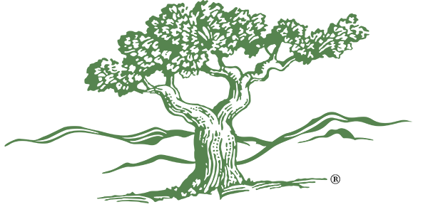 hillcrest-tree-logo-green
