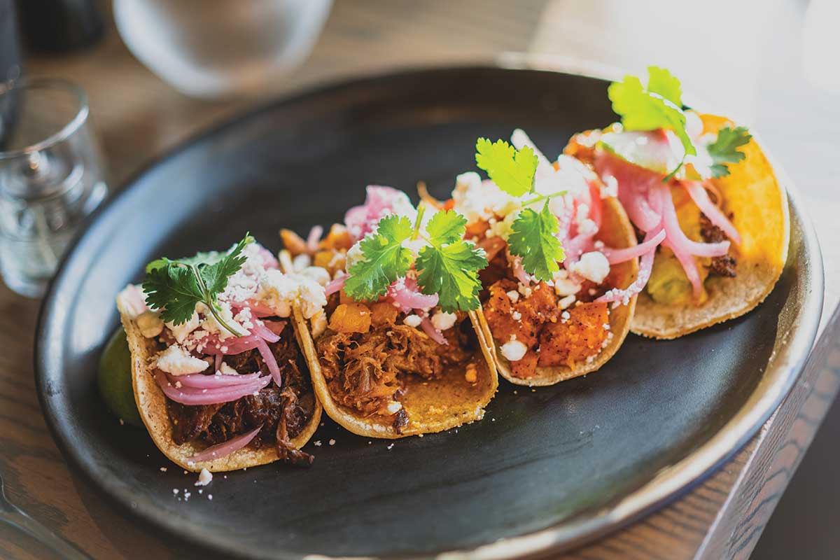 Life Plan Living 101 Roundtables