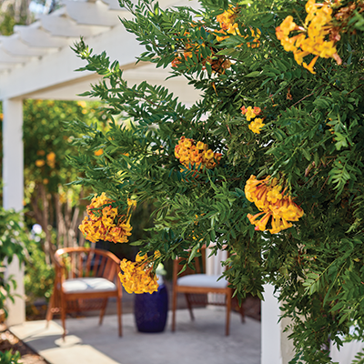 Senior Communities Unite to Support Displaced Seniors