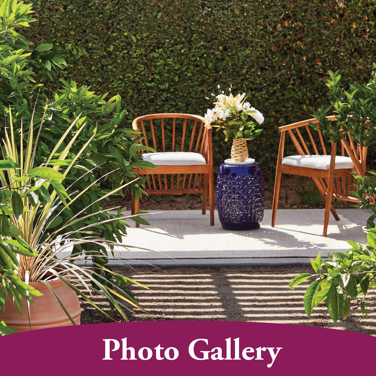 Explore the Photo Gallery