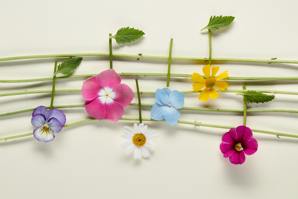 Beats & Blooms: Jazz & Tapas