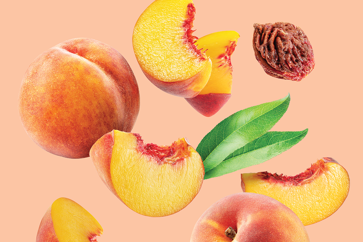 Stone Fruit Soirée & Garden Tours
