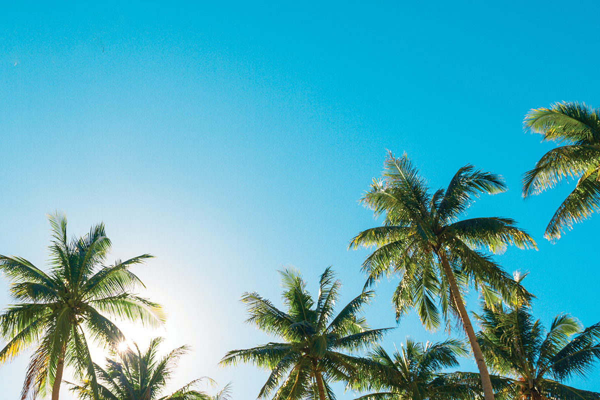 Blue Zones Lunch & Learn
